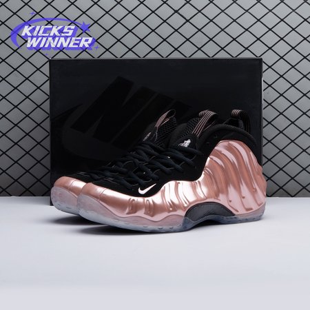 Nike Air Foamposite One Rust Pink 314996 602 Size 40-47.5